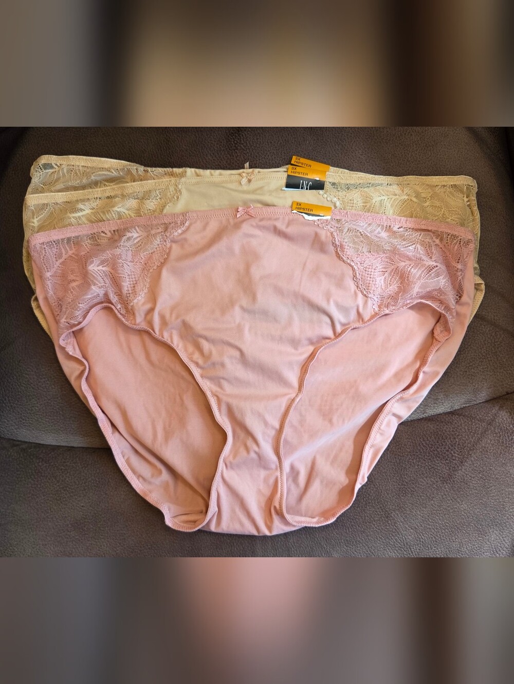 NWT INC International Concepts 3 Light Pink Lace-Trim Hipster Briefs 3X